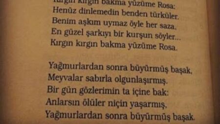 Modern Dilde Şiir: Genç Şairlerin Etkileyici Kalemlerinden En Güncel Şiirler