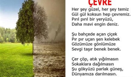 Şairlerin Çağrısı: Doğa ve Çevre Sorunlarına Dikkat Çeken Şiirler