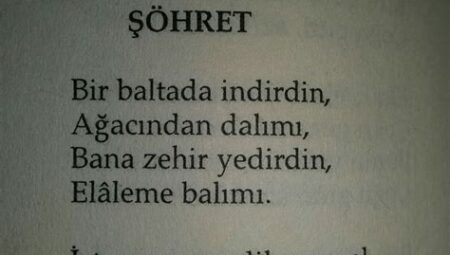 Şiirin Gücü: Gündelik Hayatın Derinliklerinden İlham Alan Şairlerin Şiirleri